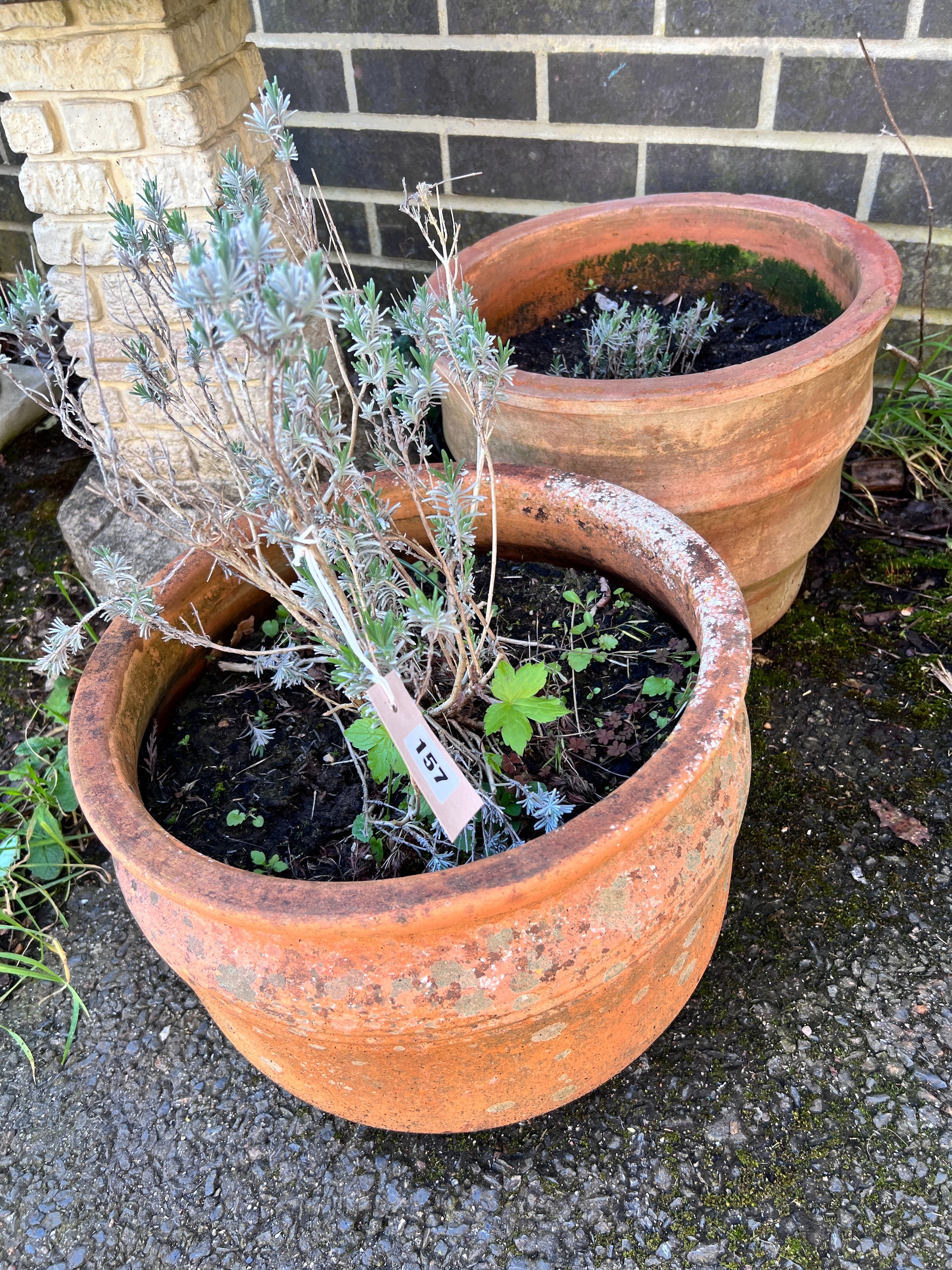 Two circular terracotta planters, larger height 30cm